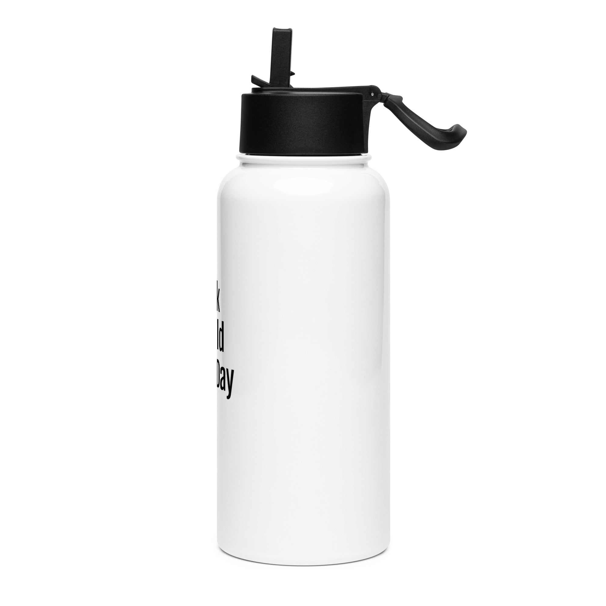 Stainless steel water bottle with a straw lid - L2N2